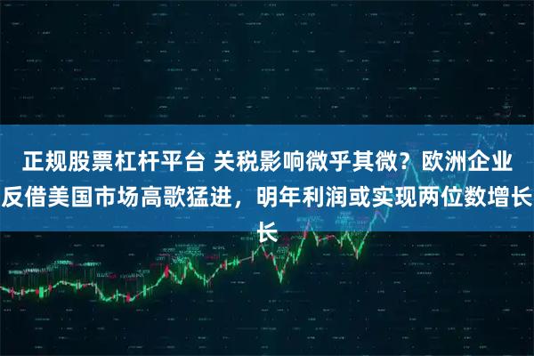正规股票杠杆平台 关税影响微乎其微？欧洲企业反借美国市场高歌猛进，明年利润或实现两位数增长