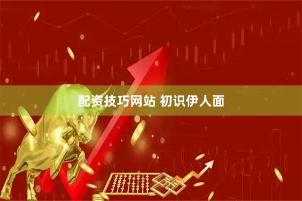 配资技巧网站 初识伊人面
